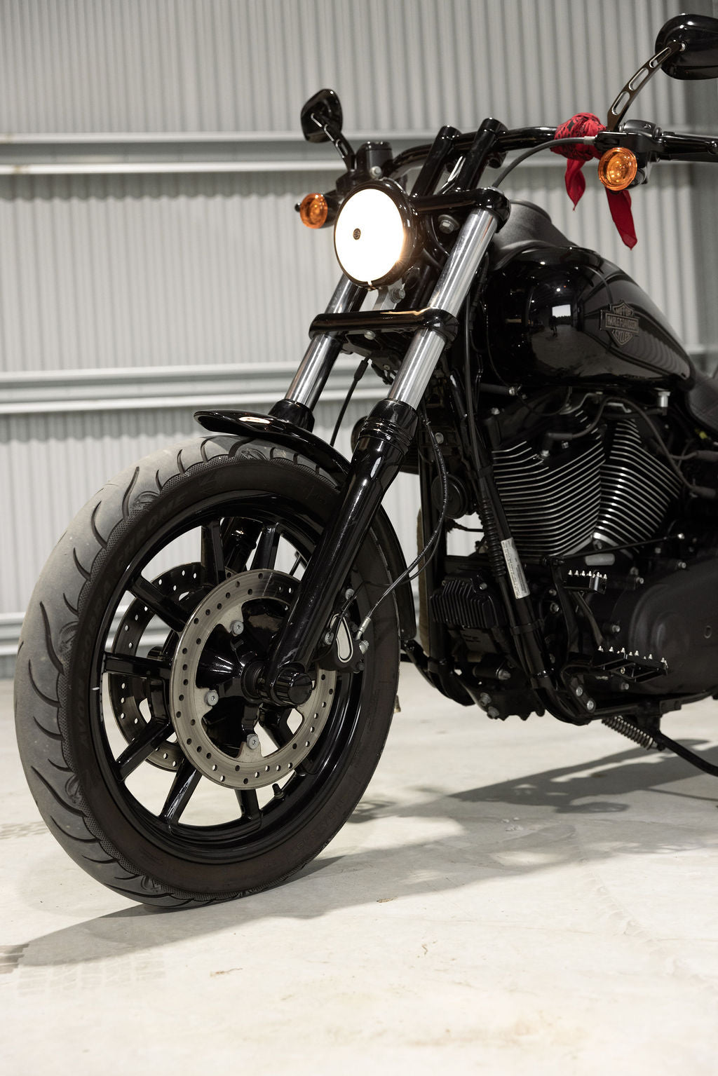 2017 Harley-Davidson low rider