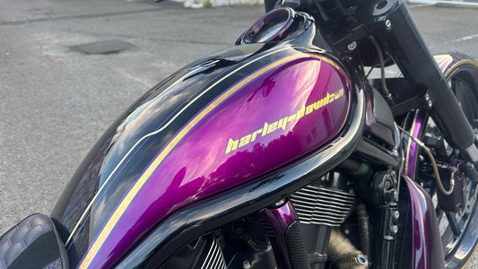 2010 Harley-Davidson V-Rod Muscle - Full Custom Night Rod Build