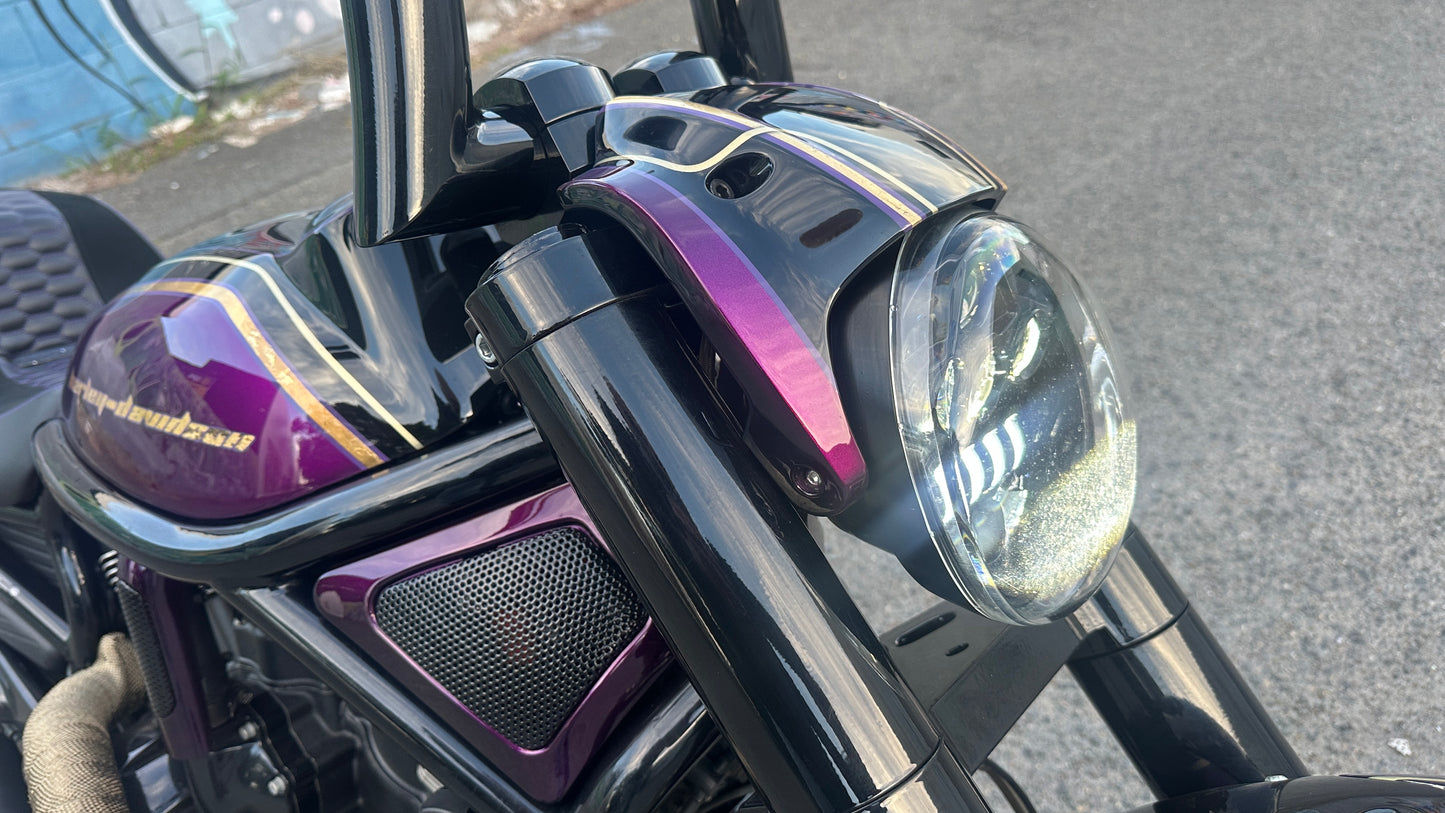 2010 Harley-Davidson V-Rod Muscle - Full Custom Night Rod Build