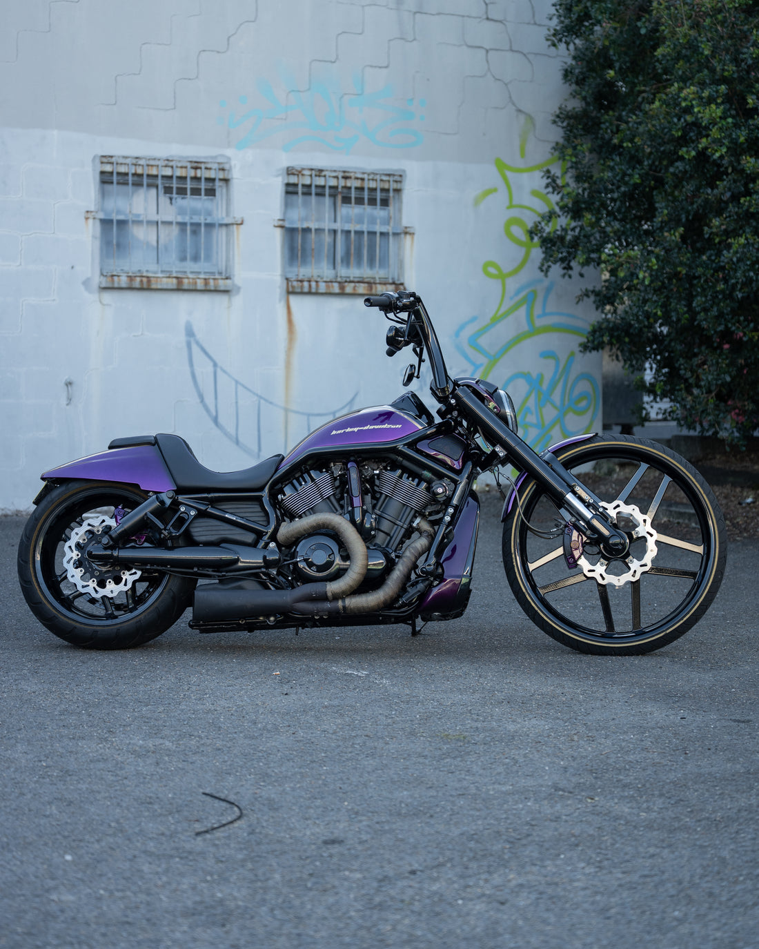 2010 Harley-Davidson V-Rod Muscle - Full Custom Night Rod Build